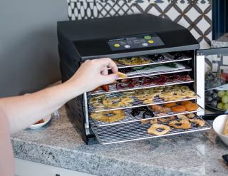 Steba ED6 Torkugn presterar bra i tester