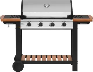 Mustang Greenville 4