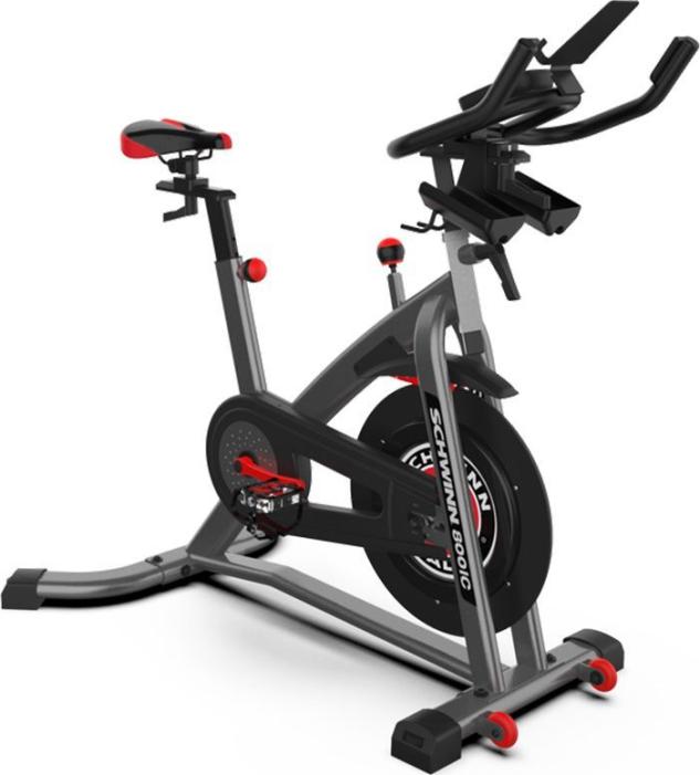 Schwinn IC8