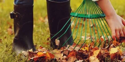 Checklista för höstens trädgårdsarbete