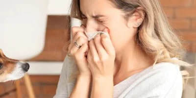 Minimera husdjursallergi med städning