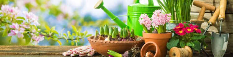 Checklista vårens trädgårdsarbete