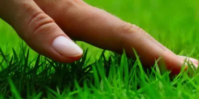 10 tips om skötsel av gräsmattan