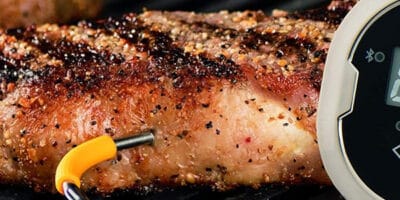 Bästa Grilltermometer i test