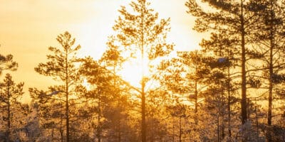 Hur ljuset spelar en viktig roll i säsongsdepression